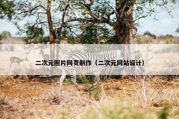 二次元照片网页制作（二次元网站设计）
