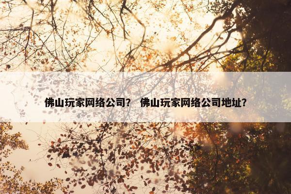 佛山玩家网络公司？ 佛山玩家网络公司地址？