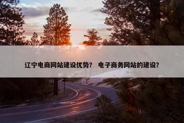 辽宁电商网站建设优势？ 电子商务网站的建设？