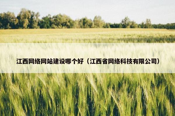江西网络网站建设哪个好（江西省网络科技有限公司）