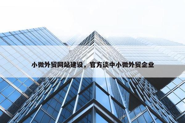 小微外贸网站建设，官方谈中小微外贸企业