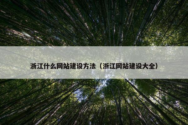 浙江什么网站建设方法（浙江网站建设大全）
