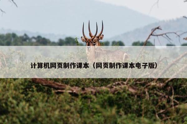 计算机网页制作课本（网页制作课本电子版）