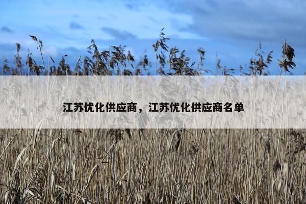 江苏优化供应商，江苏优化供应商名单