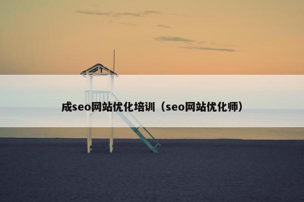 成seo网站优化培训（seo网站优化师）
