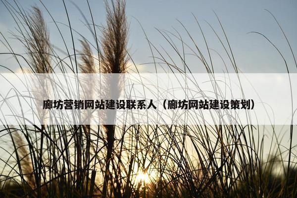 廊坊营销网站建设联系人（廊坊网站建设策划）