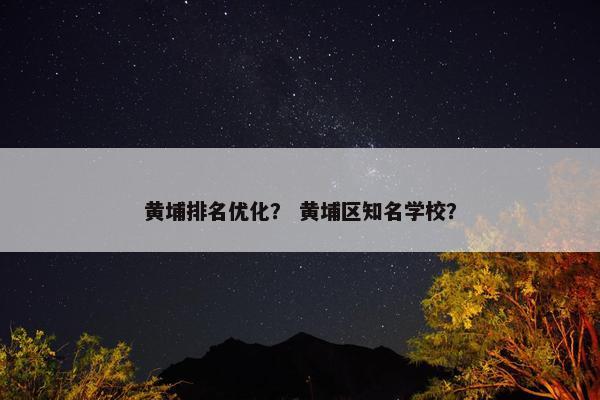 黄埔排名优化？ 黄埔区知名学校？