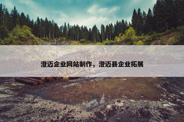 澄迈企业网站制作，澄迈县企业拓展