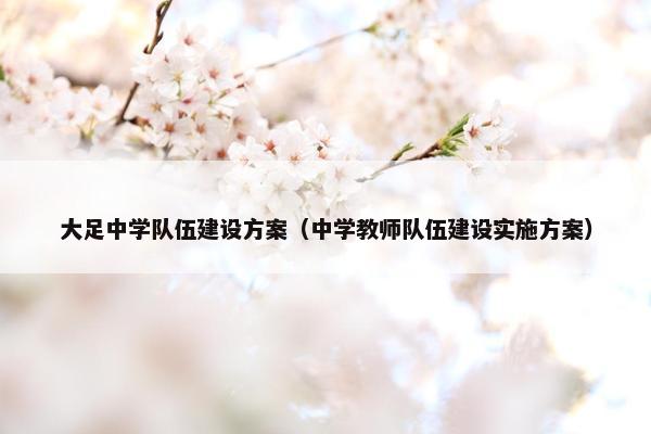 大足中学队伍建设方案（中学教师队伍建设实施方案）
