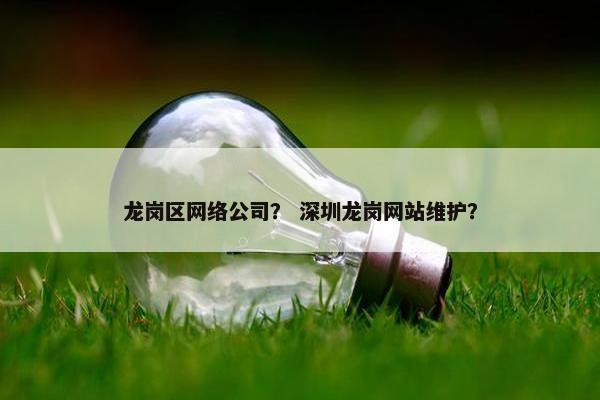 龙岗区网络公司？ 深圳龙岗网站维护？