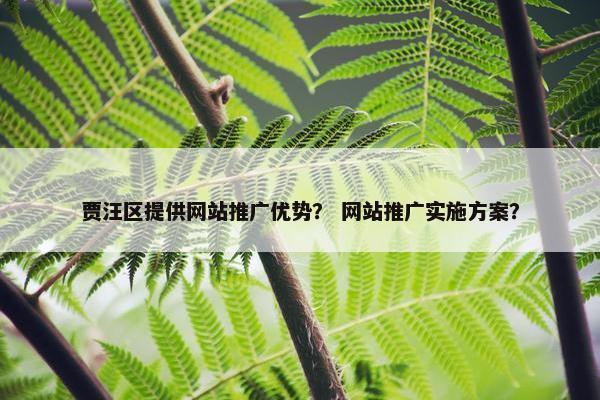 贾汪区提供网站推广优势？ 网站推广实施方案？