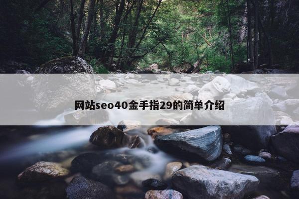 网站seo40金手指29的简单介绍