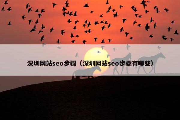 深圳网站seo步骤（深圳网站seo步骤有哪些）
