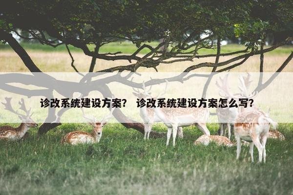诊改系统建设方案？ 诊改系统建设方案怎么写？