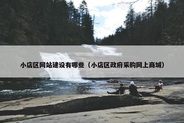 小店区网站建设有哪些（小店区政府采购网上商城）