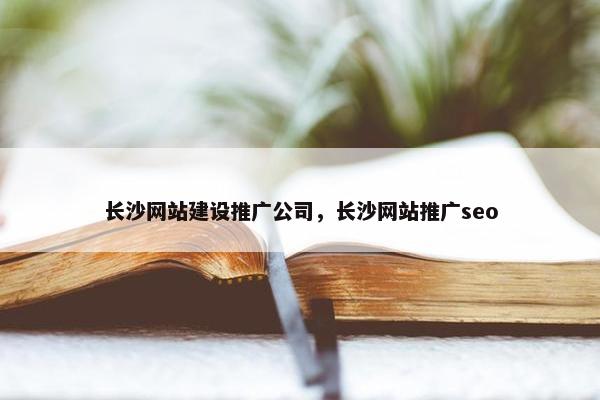 长沙网站建设推广公司，长沙网站推广seo