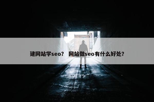 建网站学seo？ 网站做seo有什么好处？
