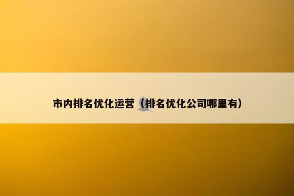 市内排名优化运营（排名优化公司哪里有）