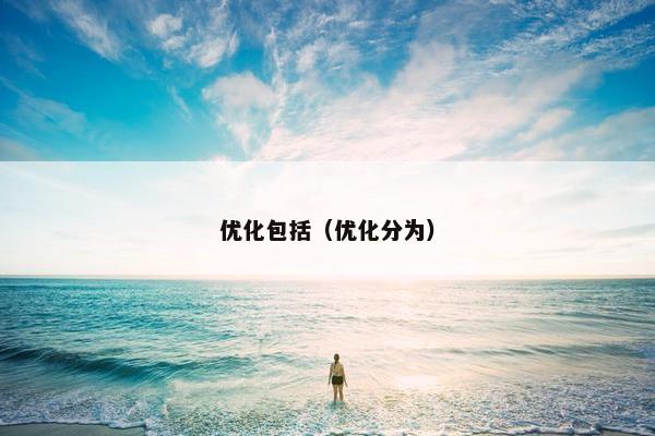 优化包括（优化分为）