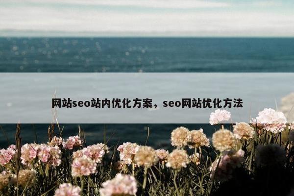 网站seo站内优化方案，seo网站优化方法