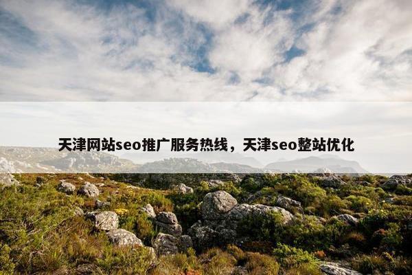 天津网站seo推广服务热线，天津seo整站优化