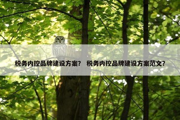 税务内控品牌建设方案？ 税务内控品牌建设方案范文？