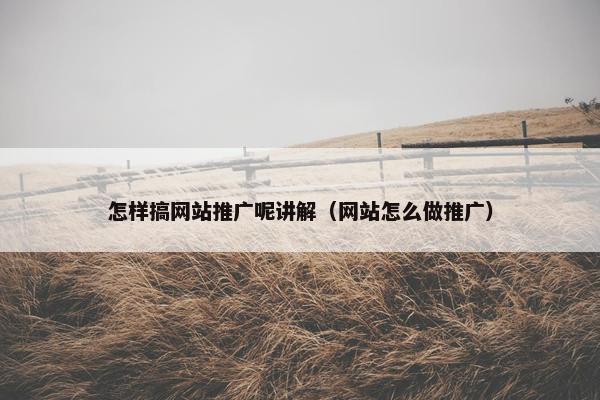 怎样搞网站推广呢讲解（网站怎么做推广）