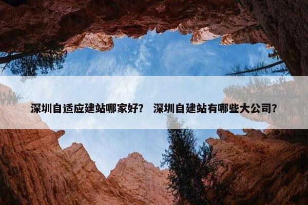 深圳自适应建站哪家好？ 深圳自建站有哪些大公司？