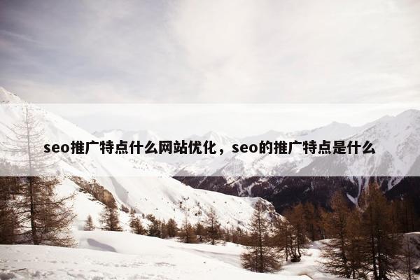 seo推广特点什么网站优化，seo的推广特点是什么