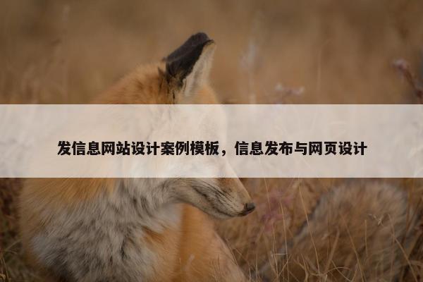 发信息网站设计案例模板，信息发布与网页设计