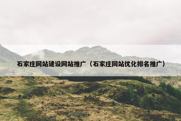 石家庄网站建设网站推广（石家庄网站优化排名推广）