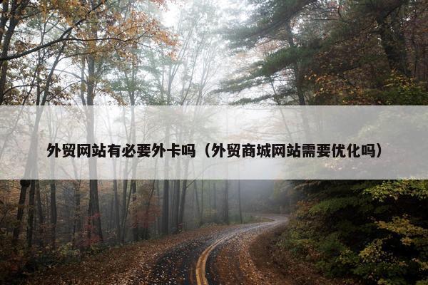 外贸网站有必要外卡吗（外贸商城网站需要优化吗）