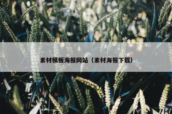 素材模板海报网站（素材海报下载）