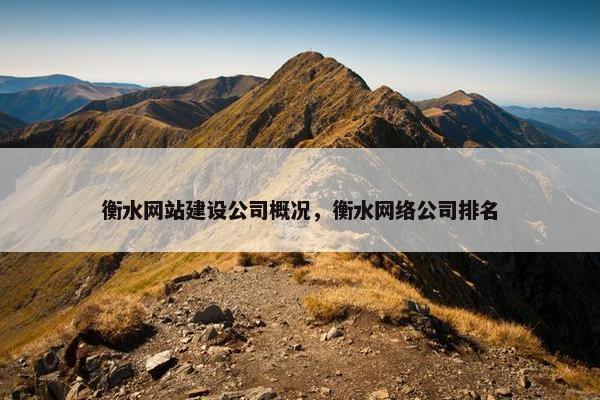 衡水网站建设公司概况，衡水网络公司排名