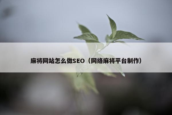 麻将网站怎么做SEO（网络麻将平台制作）