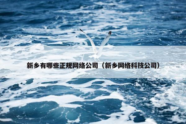 新乡有哪些正规网络公司（新乡网络科技公司）