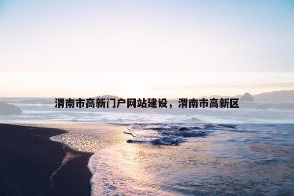 渭南市高新门户网站建设，渭南市高新区