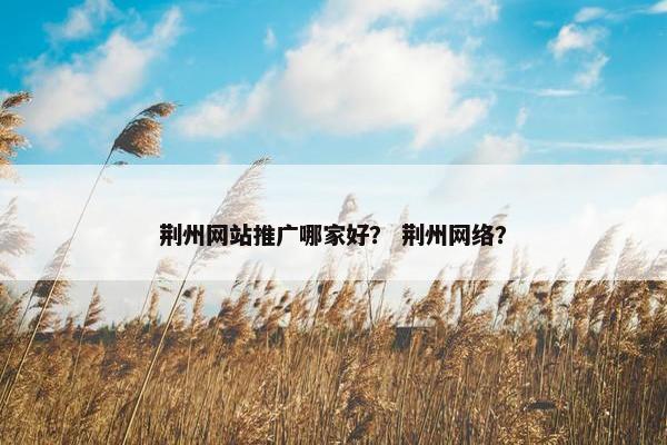 荆州网站推广哪家好？ 荆州网络？