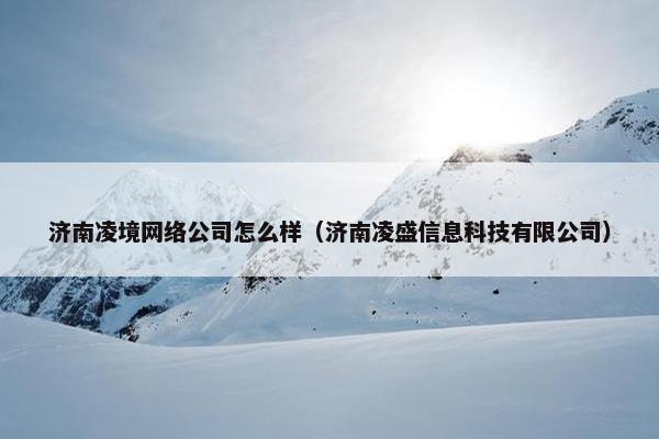 济南凌境网络公司怎么样（济南凌盛信息科技有限公司）