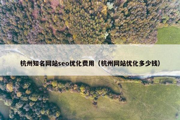 杭州知名网站seo优化费用（杭州网站优化多少钱）