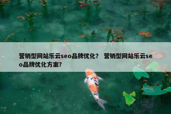 营销型网站乐云seo品牌优化？ 营销型网站乐云seo品牌优化方案？