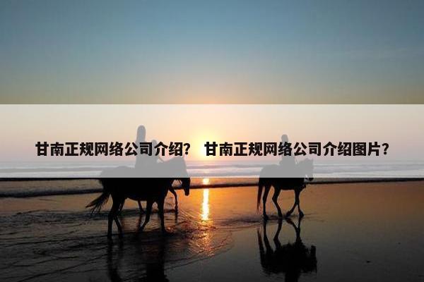 甘南正规网络公司介绍？ 甘南正规网络公司介绍图片？