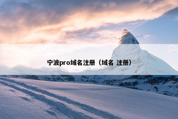 宁波pro域名注册（域名 注册）