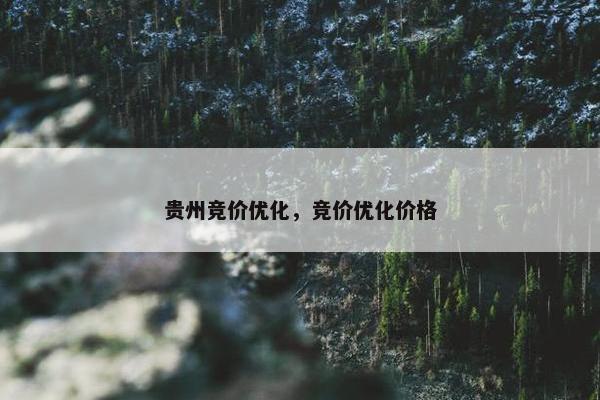 贵州竞价优化，竞价优化价格