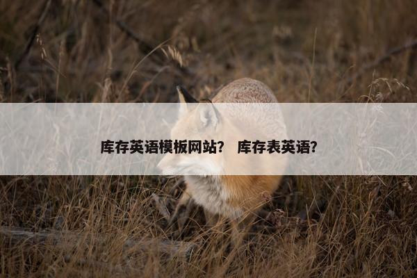 库存英语模板网站？ 库存表英语？