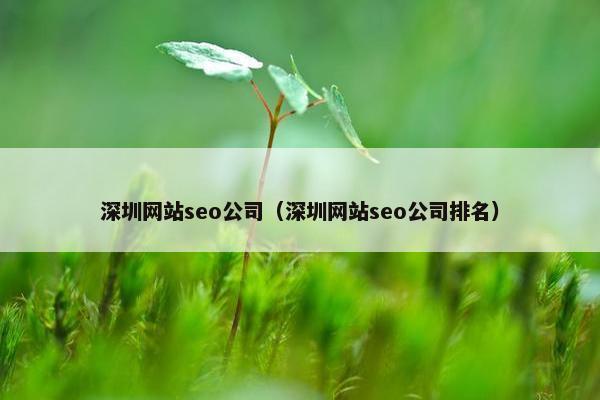 深圳网站seo公司（深圳网站seo公司排名）