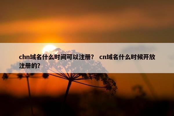 chn域名什么时间可以注册？ cn域名什么时候开放注册的？