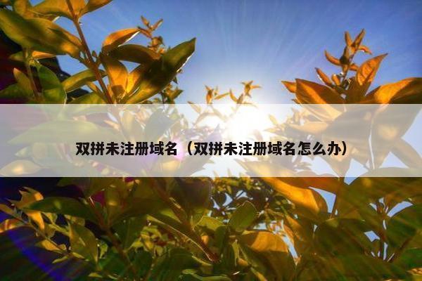 双拼未注册域名（双拼未注册域名怎么办）