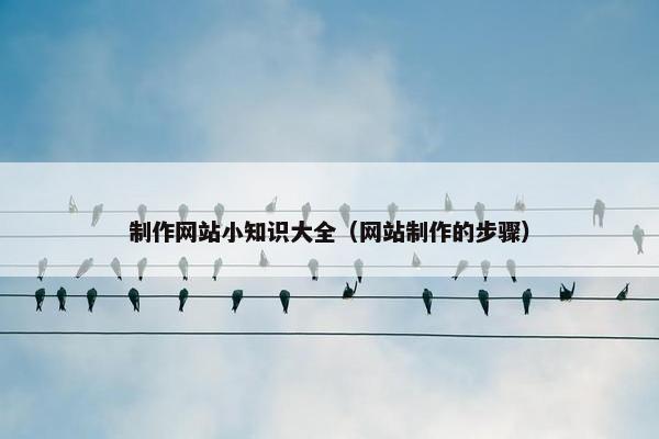 制作网站小知识大全（网站制作的步骤）
