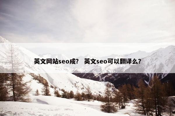 英文网站seo成？ 英文seo可以翻译么？